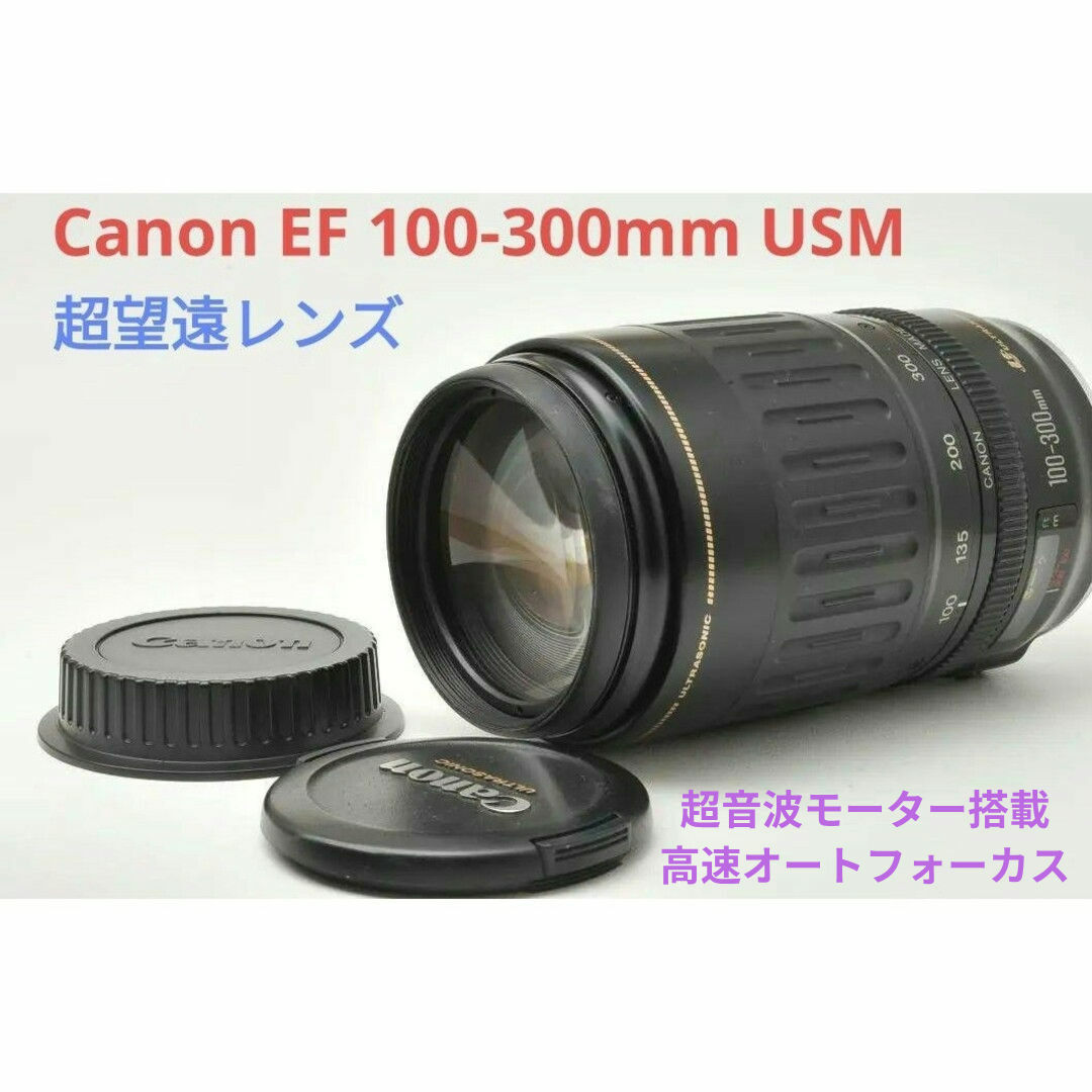 Canon - 9月25日限定価格♪Canon EF 100-300mm F4.5-5.6の通販 by こっ