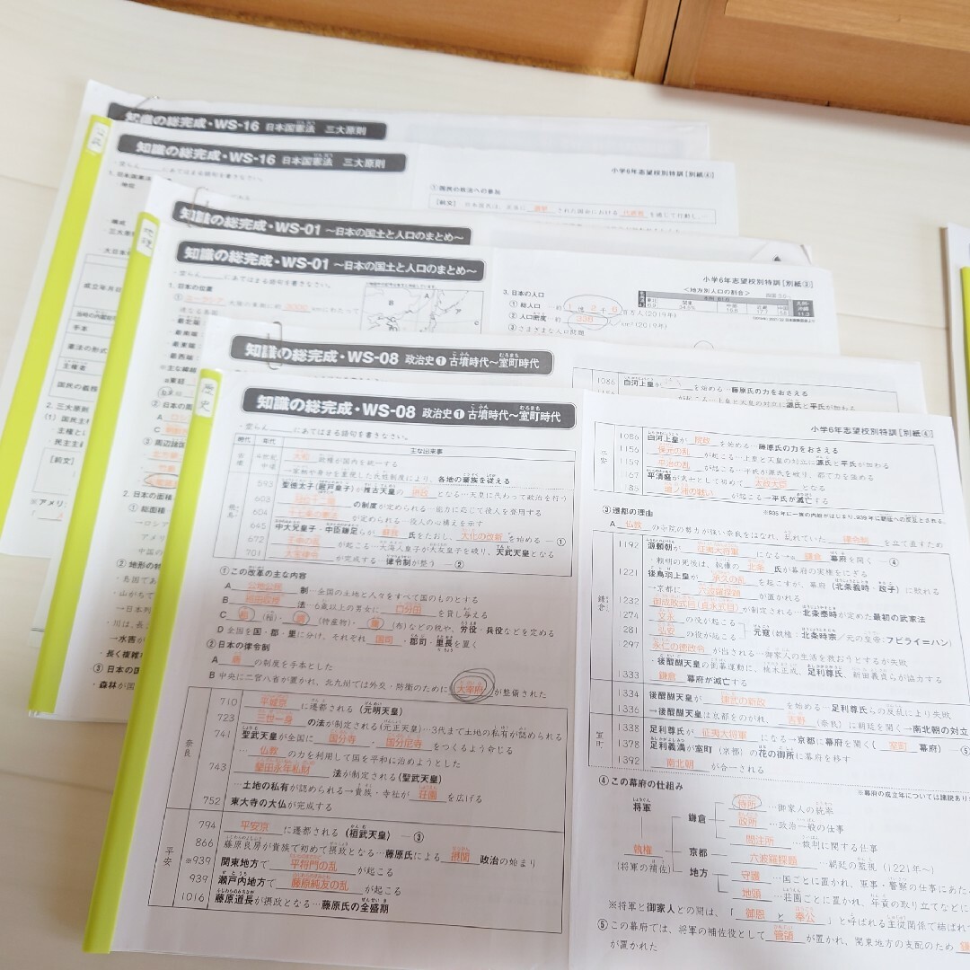 専用 SAPIX サピックス6年 社会 暗記全網羅 中学受験 地理•歴史•公民の