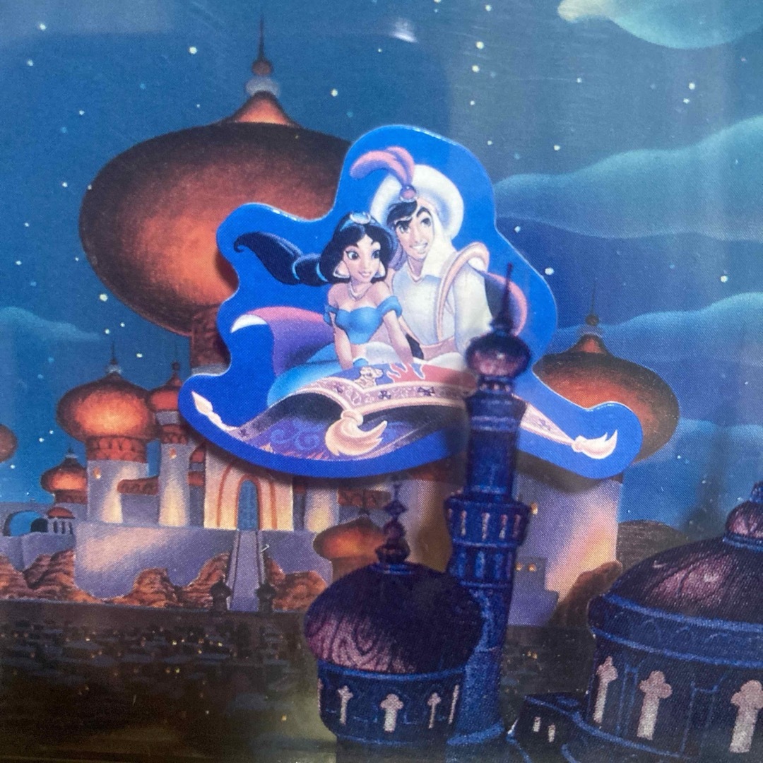 Disney - ディズニーランド限定 魔法の絨毯に乗ったアラジンと