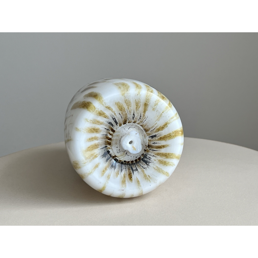 iittala - Eagle Owl フクロウ イッタラ バード オイバ・トイッカの