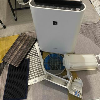 2406029761.jpg?1729344975