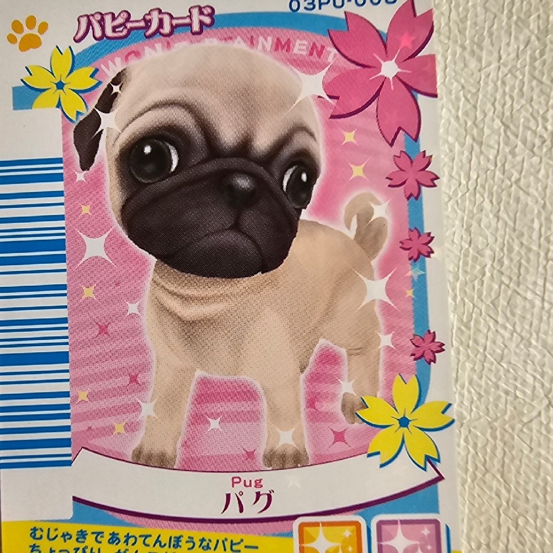 ワンタメ パピーカード パグの通販 by 桜姫's shop｜ラクマ