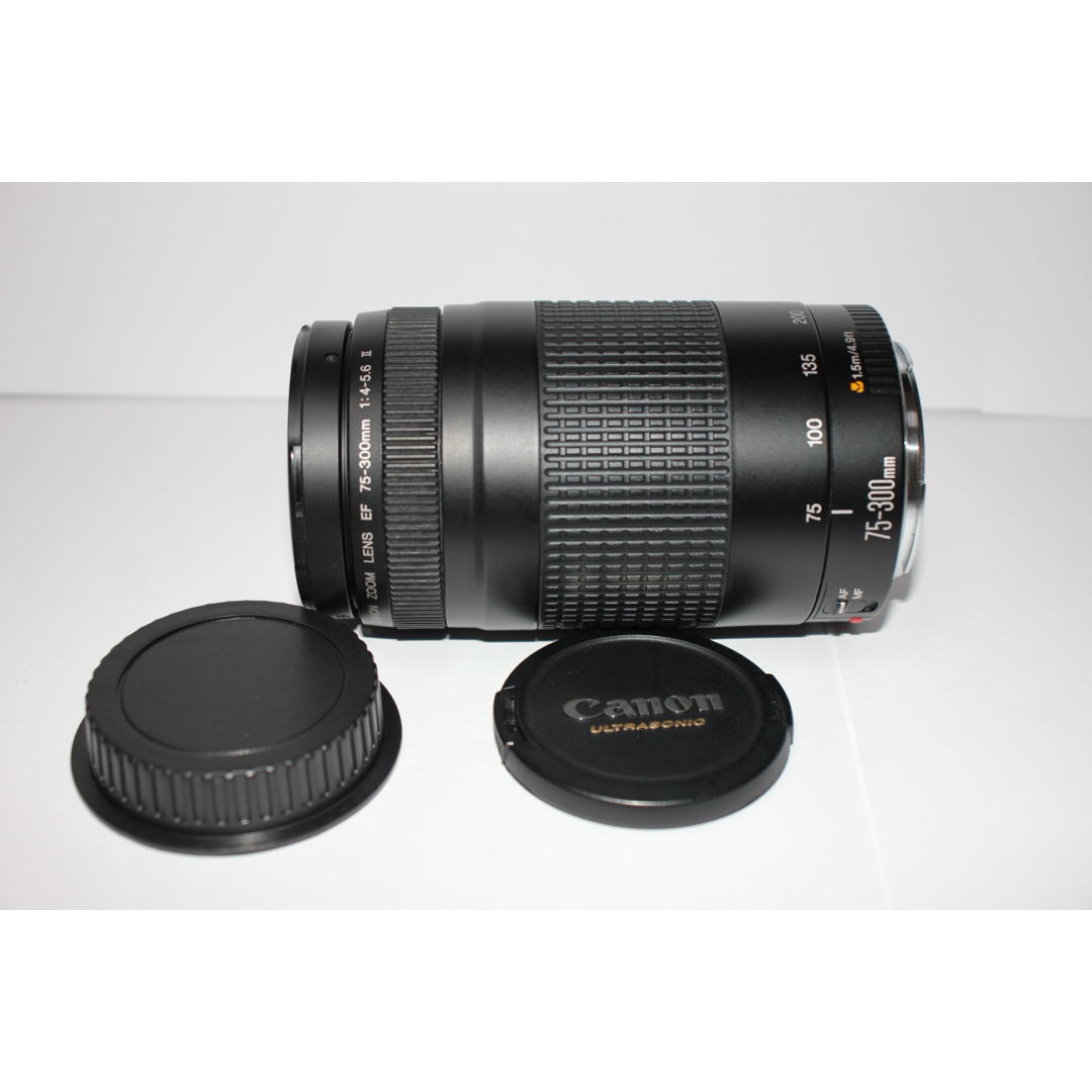 レンズが残す絆！Canon キヤノン 望遠レンズ EF75-300mm #5 【公式通販】