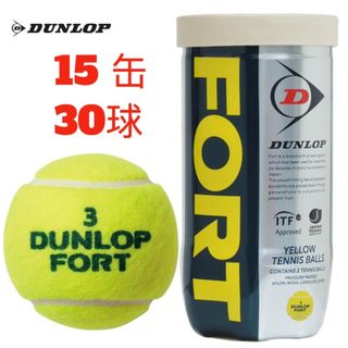 DUNLOP - 最安値に挑戦！！ ☆DUNLOPFORT☆新品ダンロップフォート2個