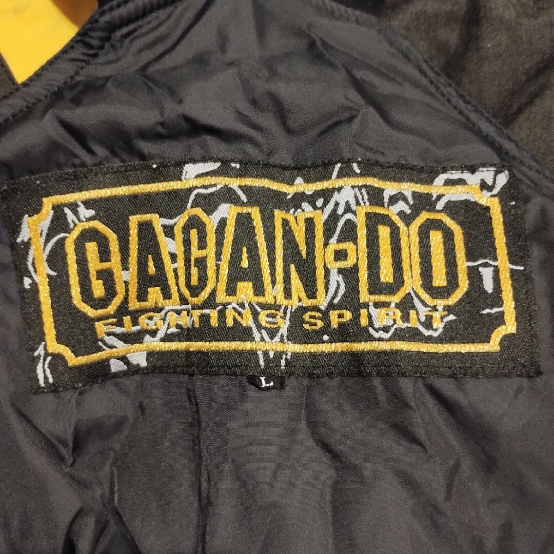 GOLDWIN - スキーウェア ギャギャンドゥ GAGANDOの通販 by peat's shop