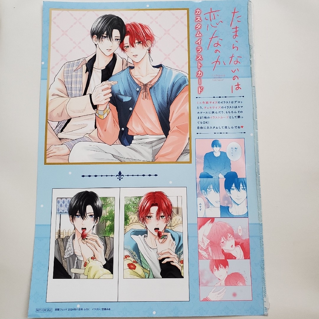 別冊フレンド2024年11月号付録たまらないのは恋なのか カスタム