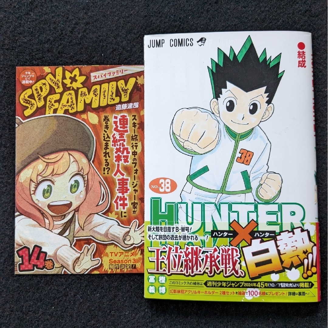 HUNTER×HUNTER ハンター×ハンター 1-38巻 富樫義博 初版本の通販 by