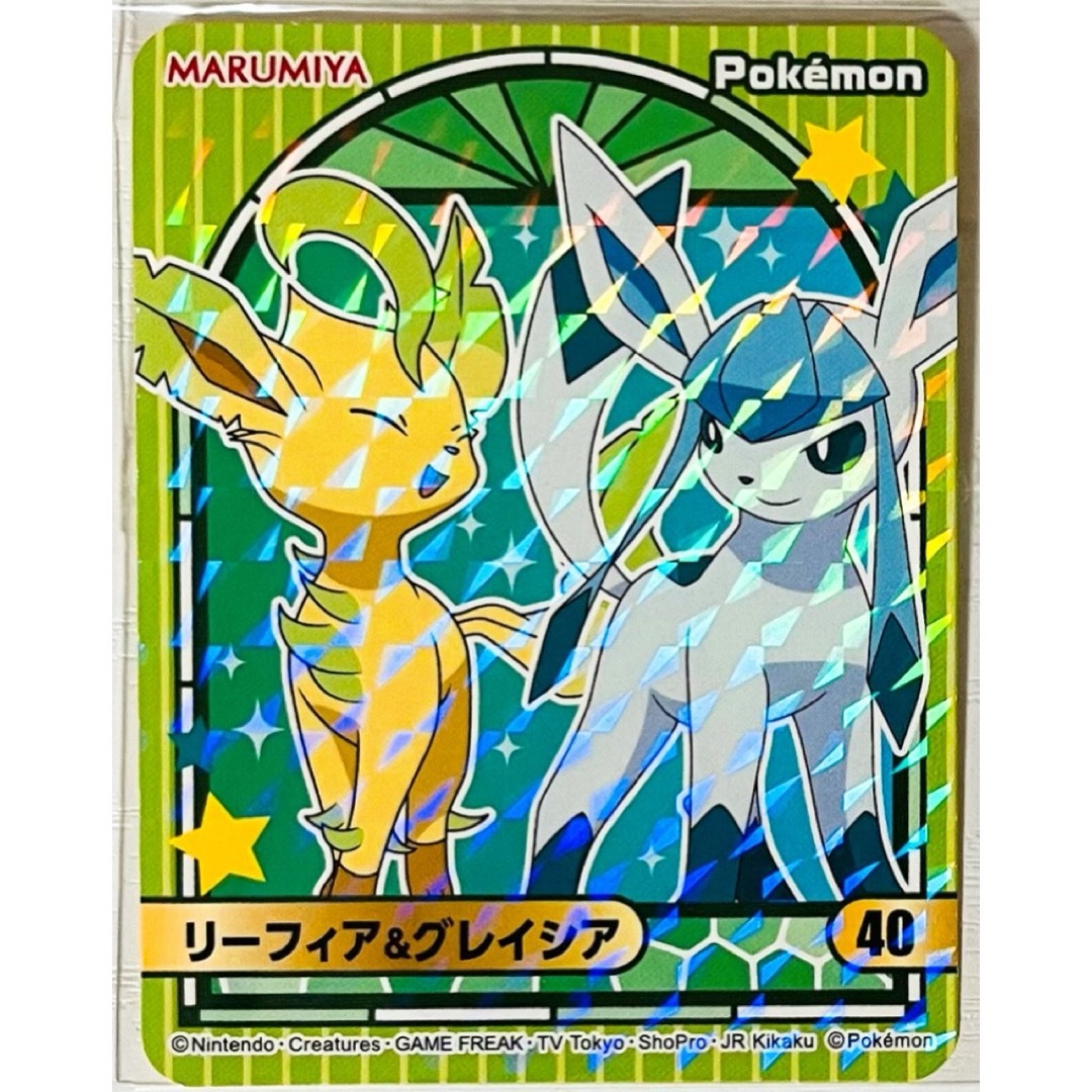 ポケモン - ポケットモンスター【リーフィア＆グレイシア】ポケモン