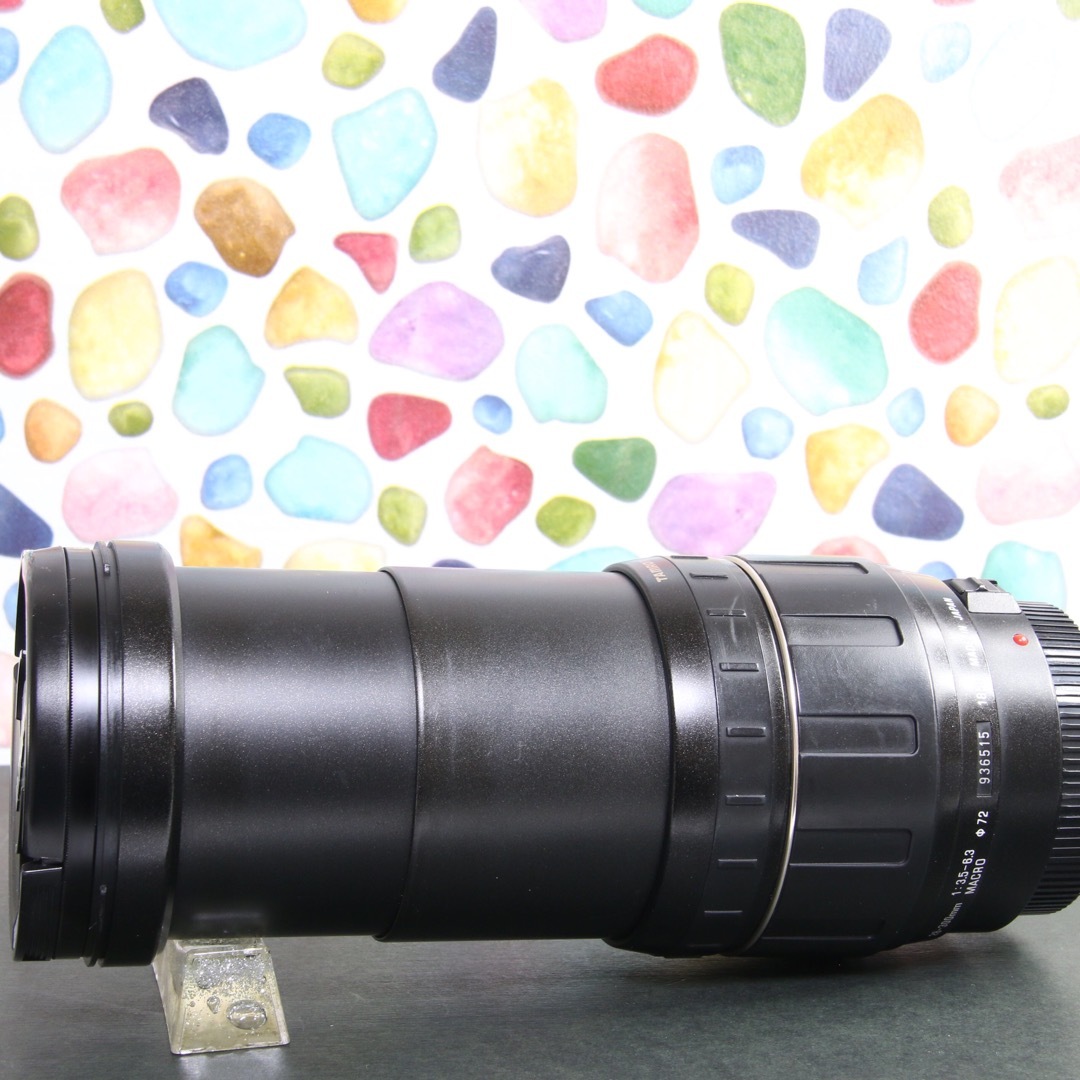 ♥︎◇近くも遠くもOKな神レンズ♪ ◇Tamron 28-300mm canon