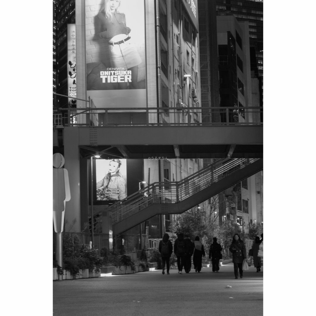 PENTAX - 無色透明訳あり！PENTAX Super-Takumar 55mm f1.8の通販 by