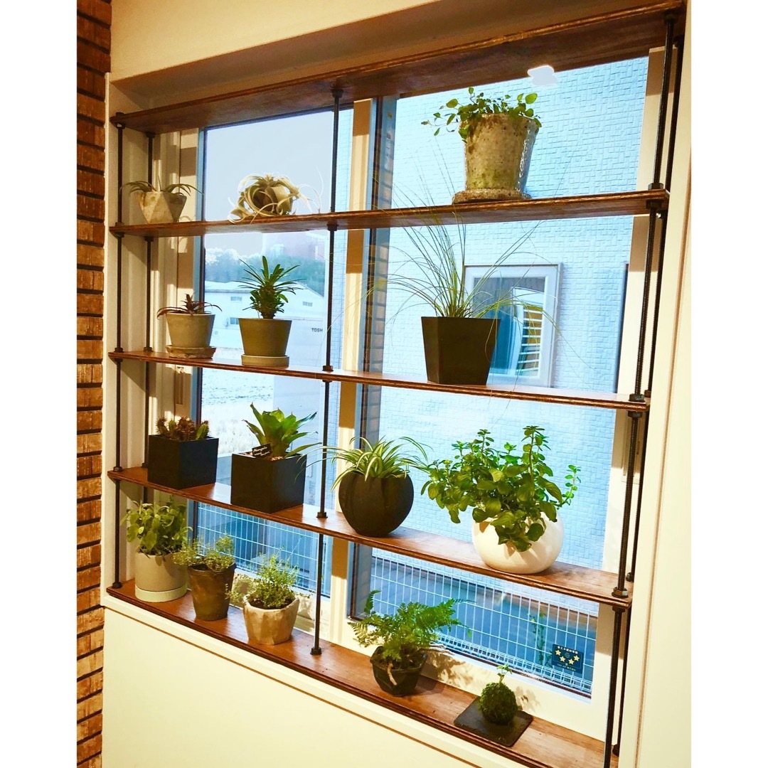 TVで紹介！窓枠における収納棚！tasty ウッドラック 壁面収納ラックの