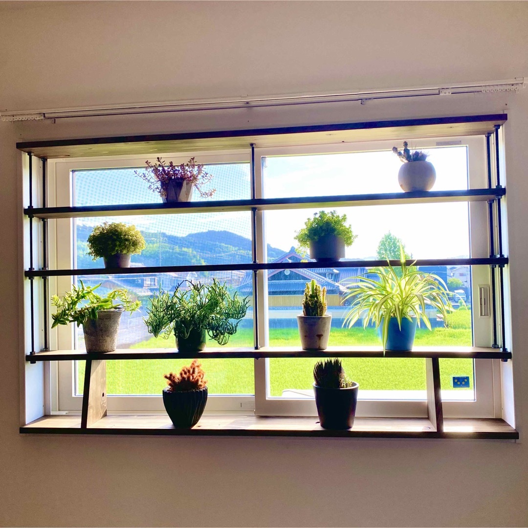 TVにて紹介されました 突っ張れて倒れない 窓枠ラック tasty 3 の通販