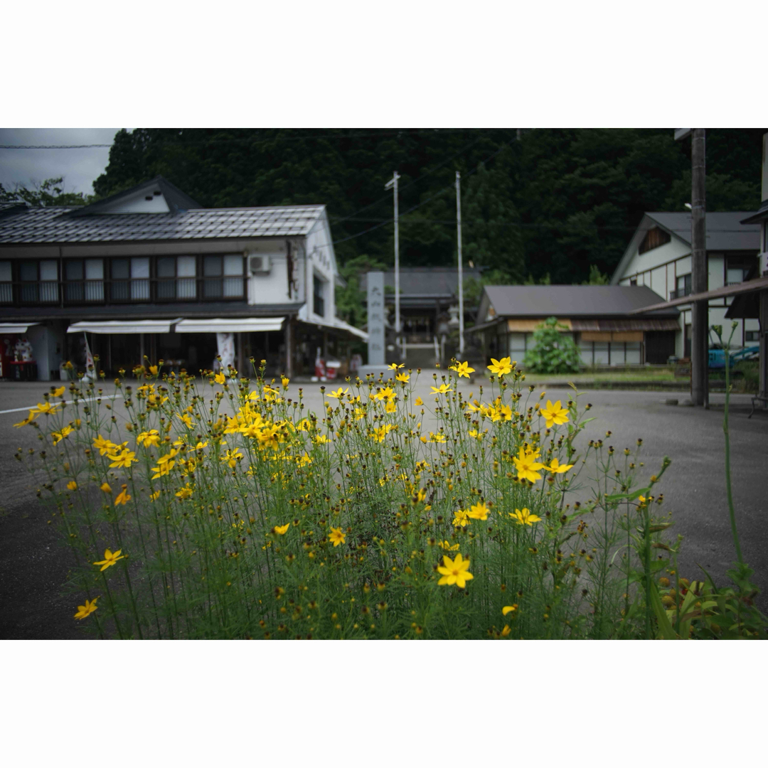 状態要確認 作例付き SUN 24mm f2.8 管mpr