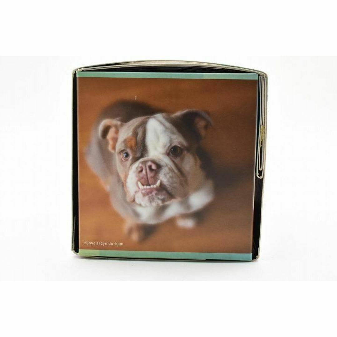 富士フイルム - 15248E ☆新品☆ レンズベビー 56mm F1.6 LENSBABYの