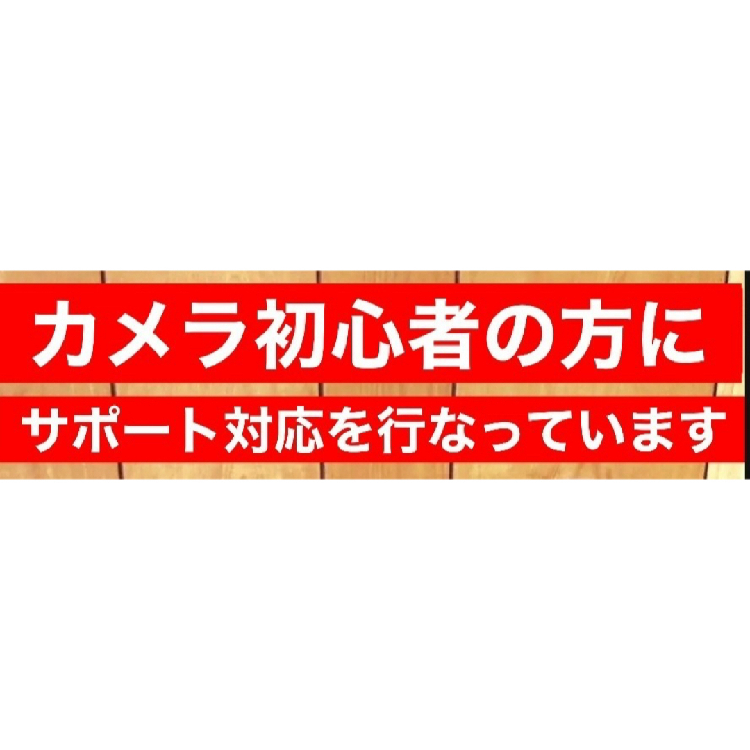 緊急価格！SONYミラーレス対応！ズームレンズ！カメラ初心者でも安心