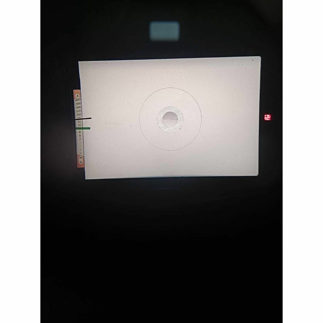 Nikon - 動作良品 NIKON ニコン FE2 ブラック フィルムカメラ M448の