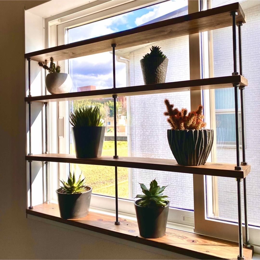 TVにて紹介⭐︎窓枠ラックtasty 2 窓インテリア グリーンカーテン の