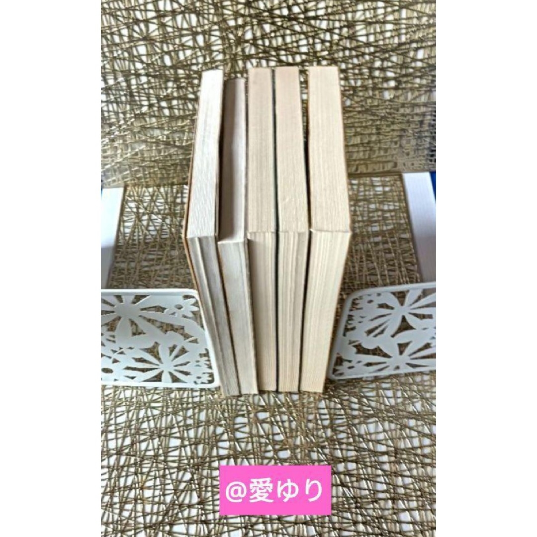 LUKEVI-皇室献呈書✨非売品✨美品♢渡邊大起『オイカイワタチ』全5巻