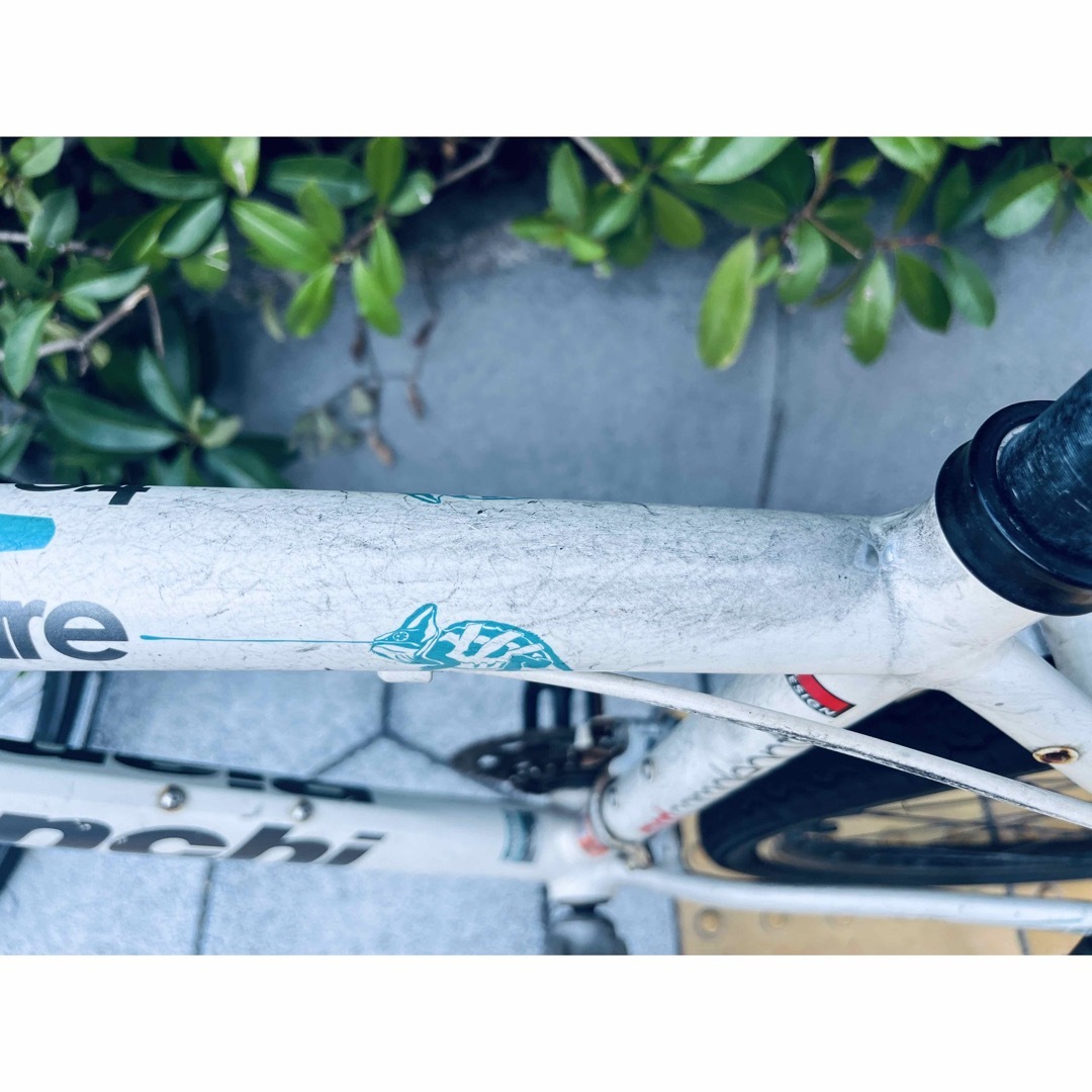 Bianchi - ビアンキ 自転車 クロスバイク カメレオンテ スポーツ3 中古