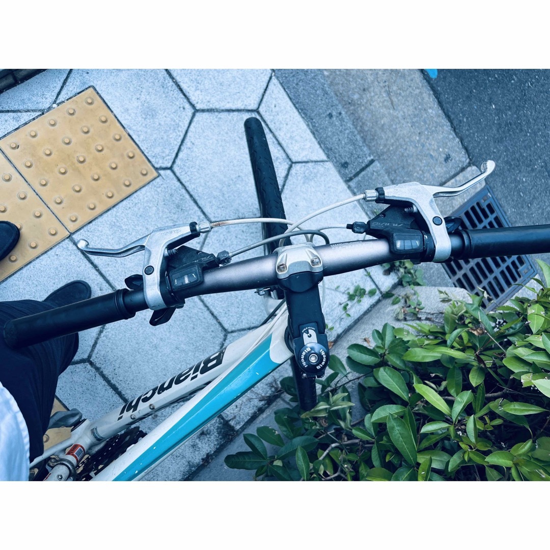 Bianchi - ビアンキ 自転車 クロスバイク カメレオンテ スポーツ3 中古