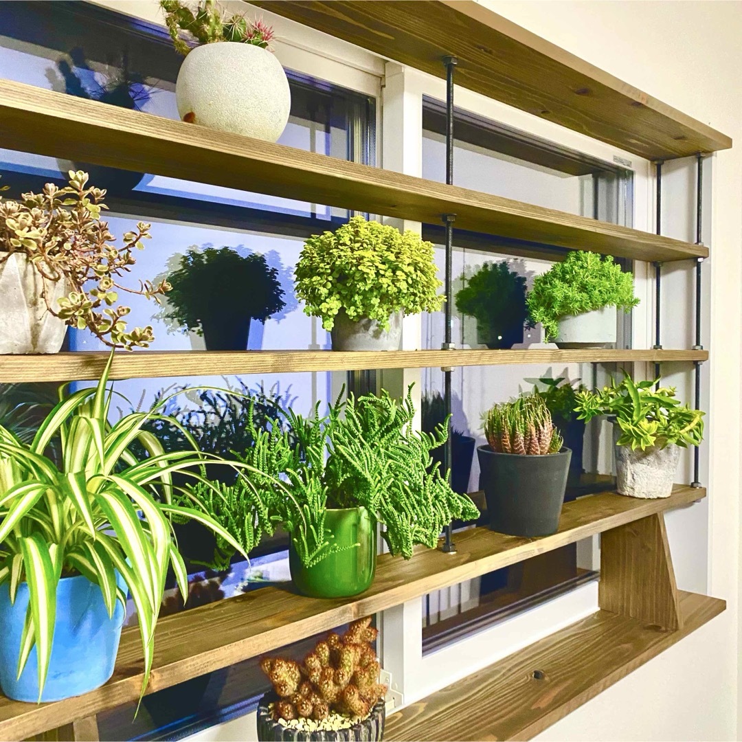 TVにて紹介されました 突っ張れて倒れない 窓枠ラック tasty 3の通販