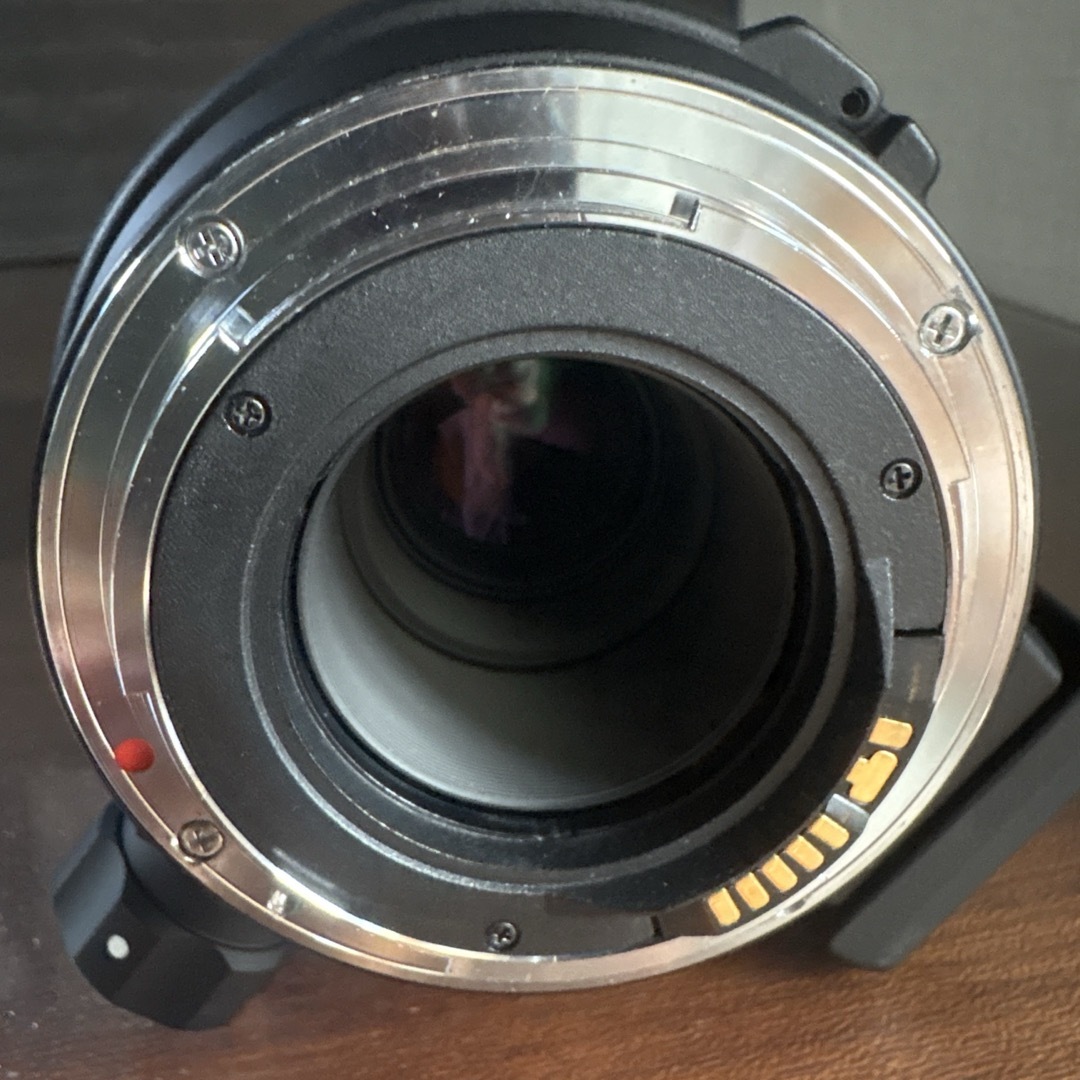 SIGMA - SIGMA 300mm F4 レンズ(単焦点)の通販 by 虎キチ's shop