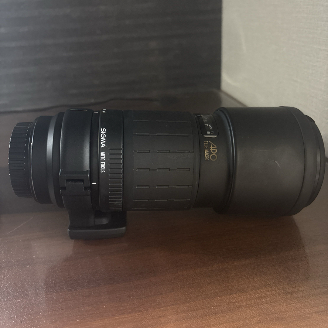 SIGMA - SIGMA 300mm F4 レンズ(単焦点)の通販 by 虎キチ's shop
