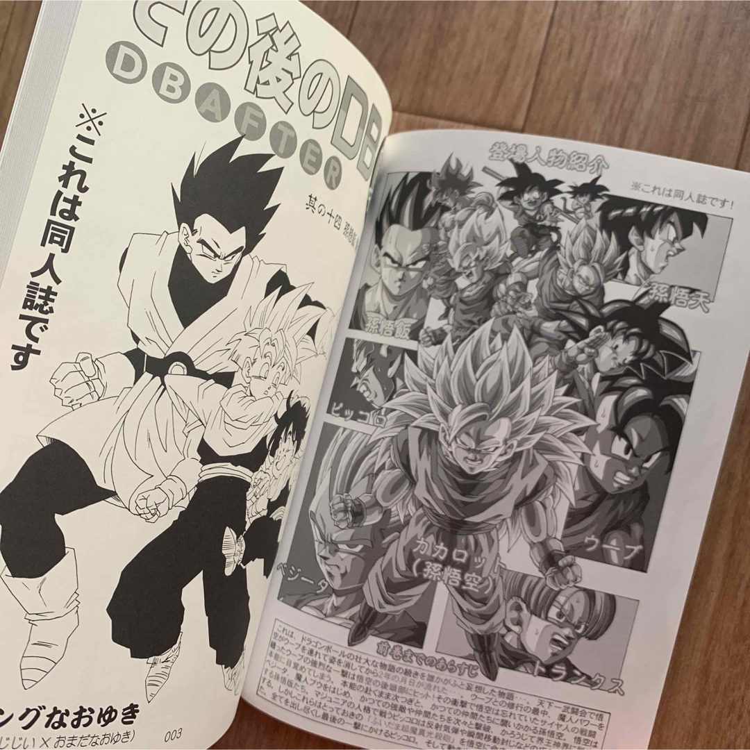 貴重！ その後のDB真 14巻 ドラゴンボールAF ヤングなおゆき 同人誌の