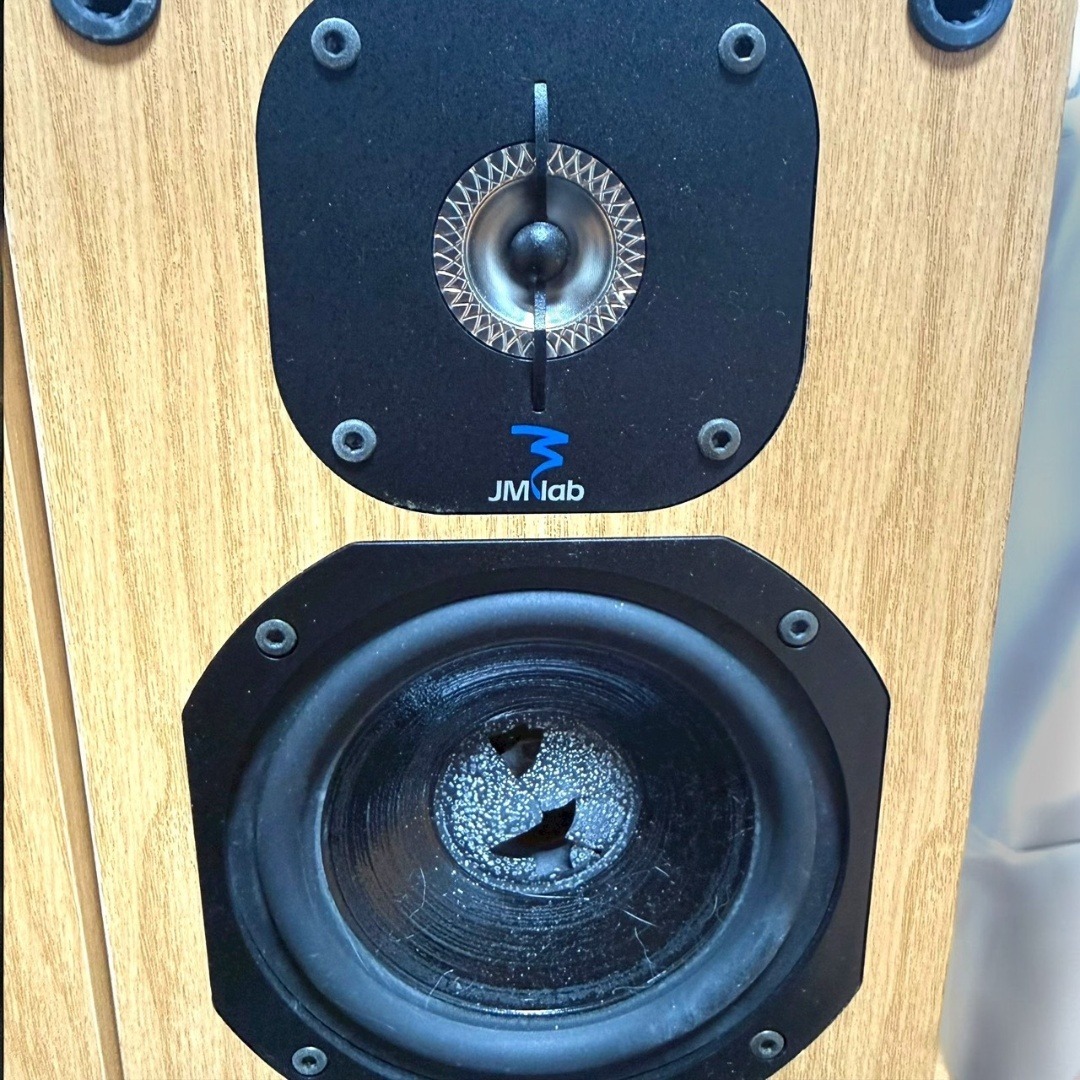 希少品 FOCAL JMlab TANTAL505 スピーカーペア シリアル連番の通販 by