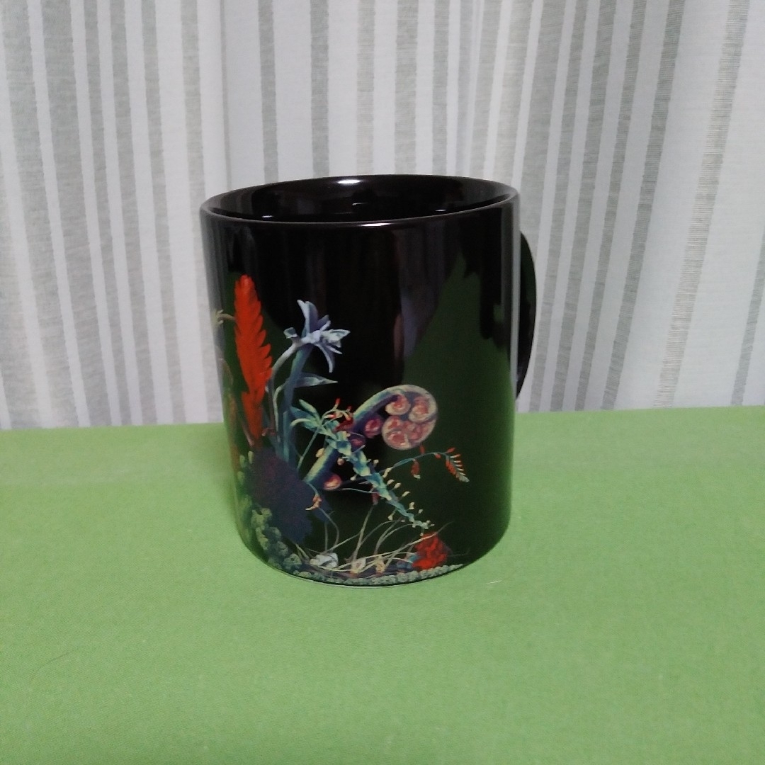 Starbucks Coffee - 新品未使用スターバックス fragment AMKK スタバ