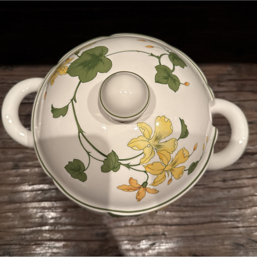 ビレロイ&ボッホ - ビレロイ&ボッホゼラニウム未使用チューリーンの