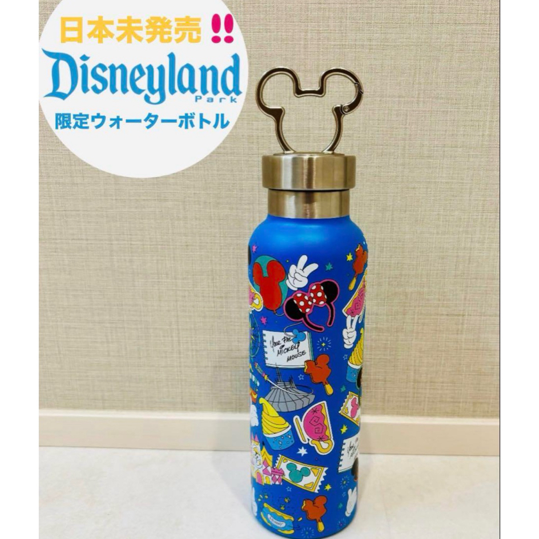 Disney - 【新品未使用】カリフォルニアディズニー ステンレス製