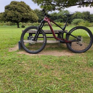 Giant - GIANT(ジャイアント) TEN(テン) ミニベロ 20インチ【美品】の