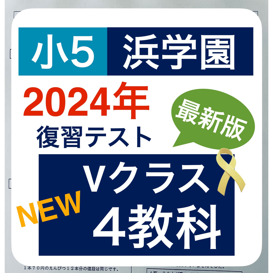 浜学園 最新版 2024年 小5 復習テスト Vクラス 算国理 3科目b 最新版