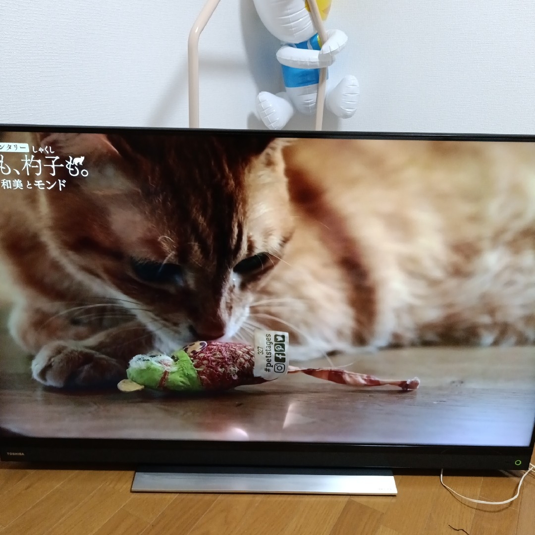 東芝 - ジャンク品TOSHIBA 50BM620X 液晶テレビ 50インチの通販 by