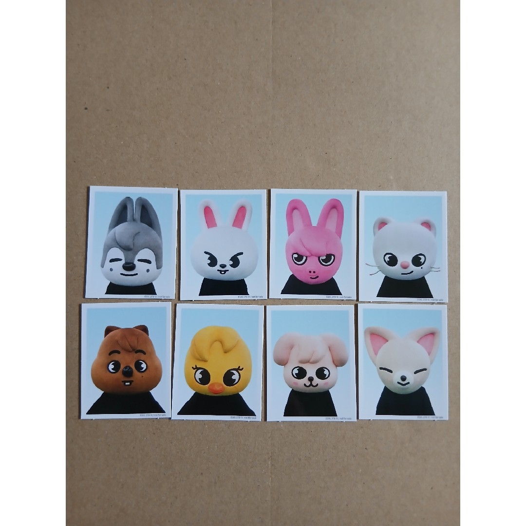 Stray Kids - Stray Kids SKZ TOY WORLD SKZOO IDフォト コンプの通販