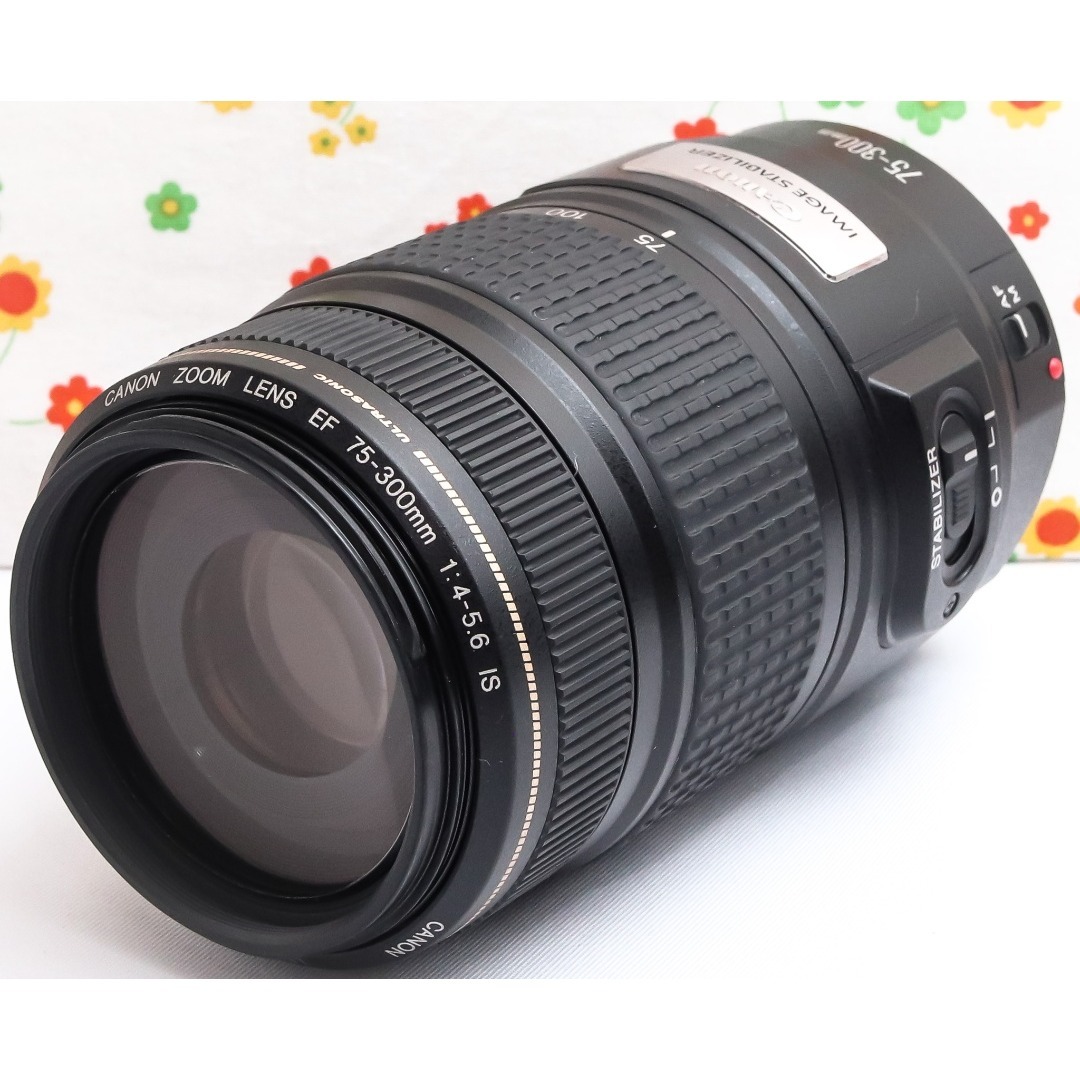 Canon - Canon EF 75-300mm IS USM☆遠くの一瞬をブレずに捉えるの通販