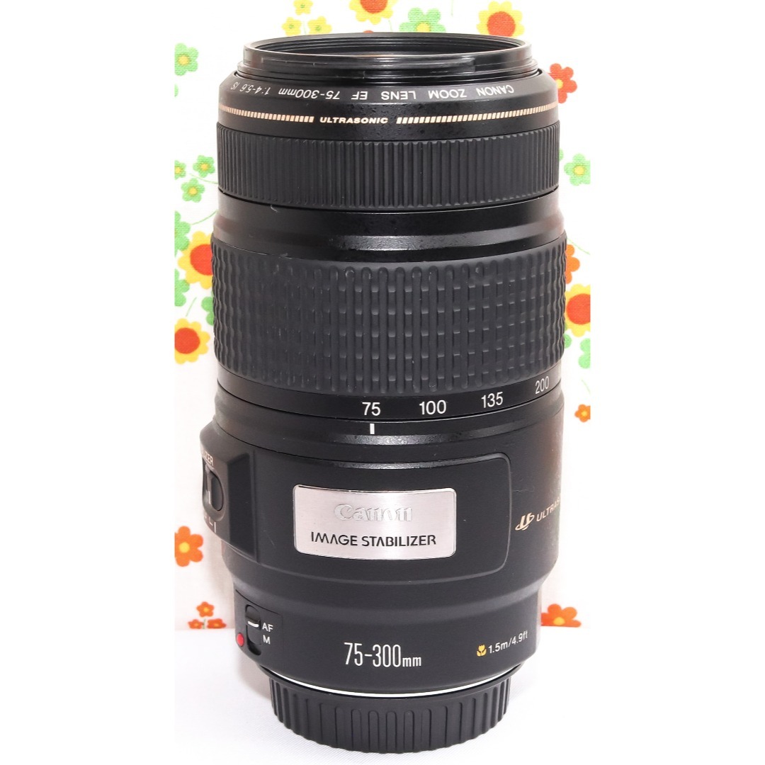 Canon - Canon EF 75-300mm IS USM☆遠くの一瞬をブレずに捉えるの通販