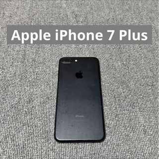 iPhone - iPhone SE 第二世代 箱のみの通販 by ぱぴよし's shop｜アイ