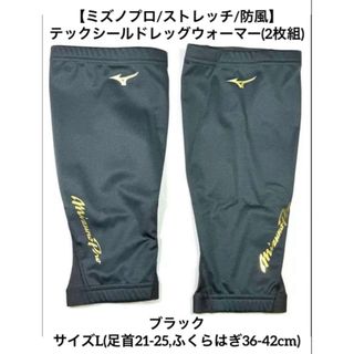 Mizuno Pro - ☆希少☆ 3D時代 信義 ミズノ ビックMミズノプロ グラブ
