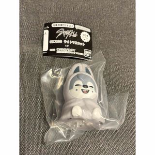 Stray Kids - stray kids スキズ hollow 未使用シリアル 10枚の通販 by