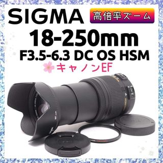 SIGMA - SIGMA APO 70-300mm F4-5.6 DG MACRO ソニーA用の通販 by
