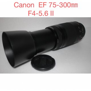 SONY - yu様専用 SONY SELP18105G ZXフィルター付きの通販 by たかし's