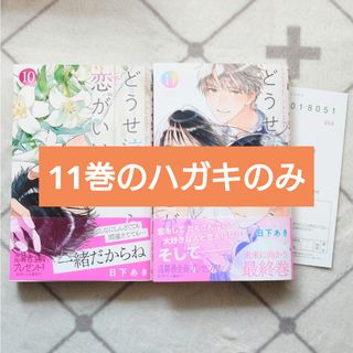 集英社 - りぼん1999年(平成11年)5月号&9月号 付録の通販 by みけねこ