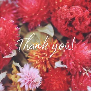 Disney - 最新版DWE ディズニー英語システム 専用棚 パーツの通販 by