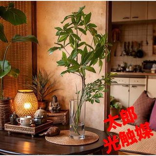 Maison Margiela（旧Maison Martin Margiela） - メゾンマルジェラ