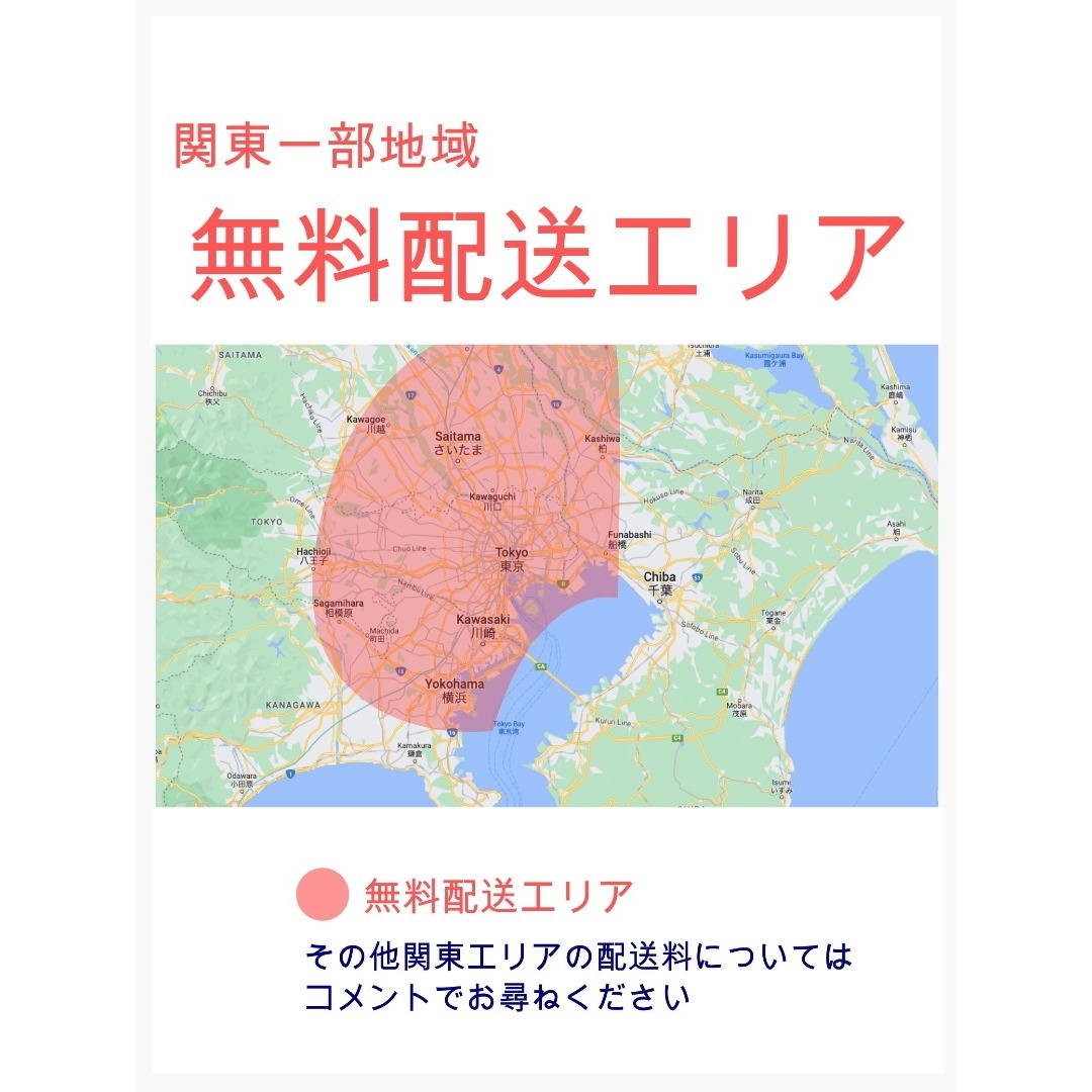 Panasonic - ホワイト系 大容量 パナソニック 子供乗せ電動アシスト