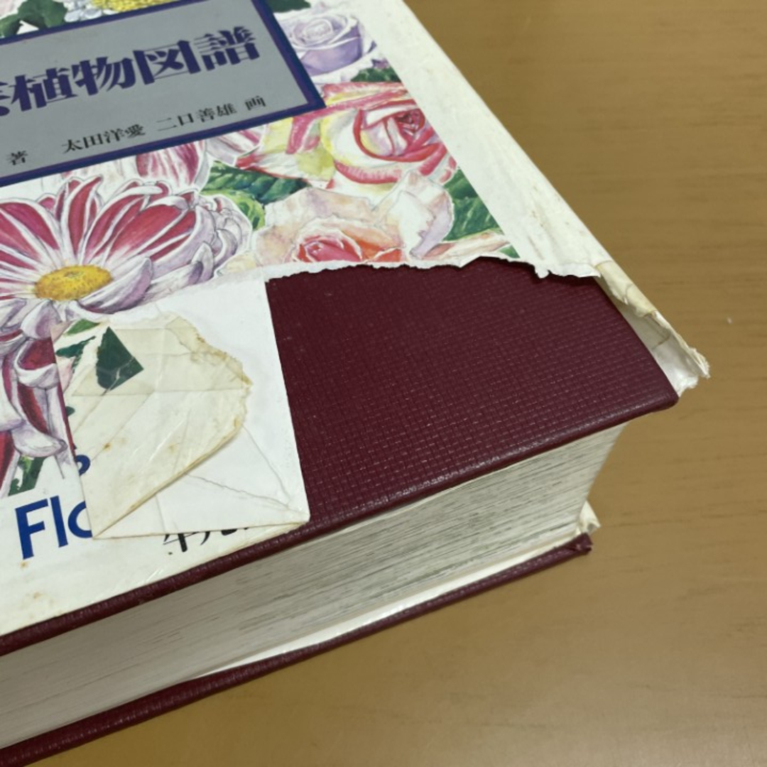 ○01)【1点限り!】園芸植物図譜/浅山英一 /二口善雄/平凡社/1986年