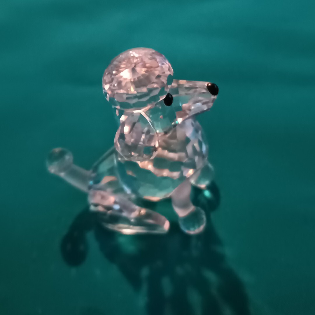 SWAROVSKI - スワロフスキー SWAROVSKI 動物シリーズ プードル