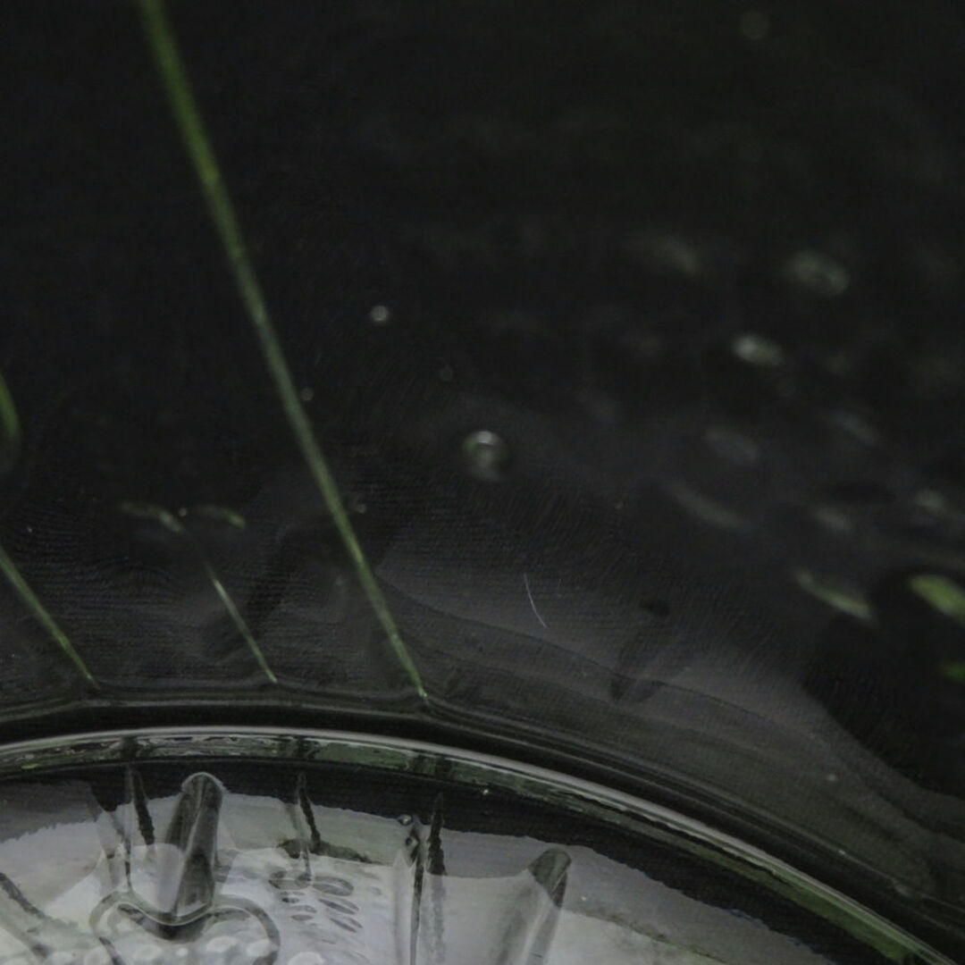 iittala - 美品 iittala イッタラ scope別注 Art Flora アートフローラ